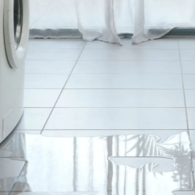 Appliance Leak Cleanup in Sherwood, OR