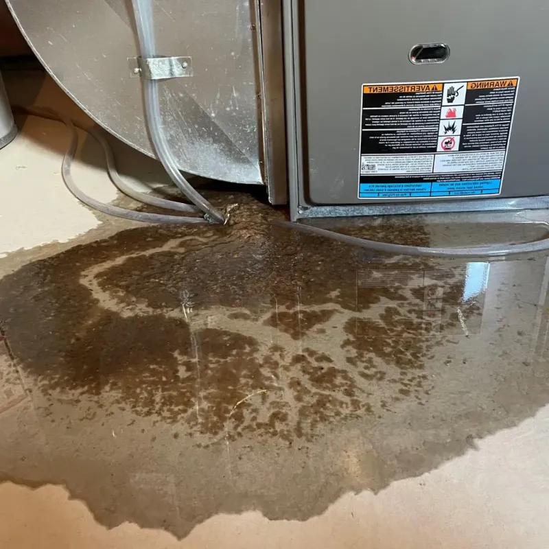 Pipe Burst and Leak Restoration in Sherwood, OR